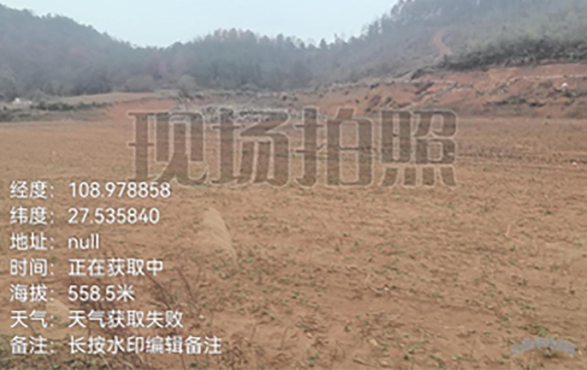 万山区绿色生态肉牛全产业链项目